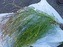 �N���b�N�Ŋg��