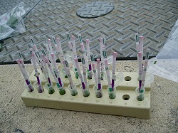 ���ʂ͂�������N���b�N