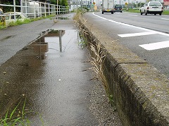 �N���b�N����Ɗg��