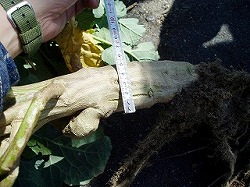 �N���b�N�Ŋg��