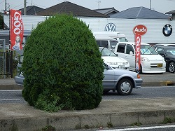 �N���b�N�Ŋg��摜